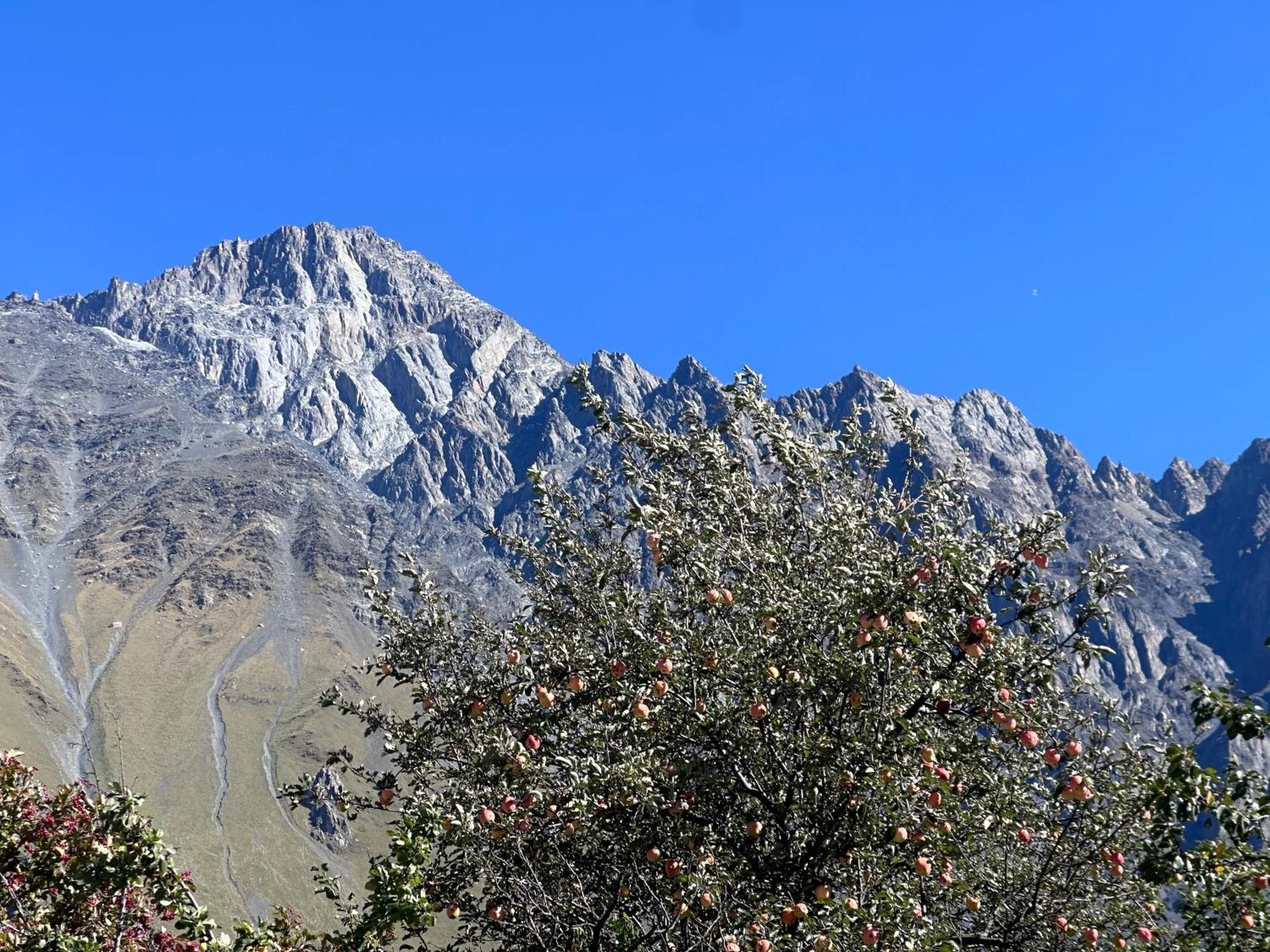 Hotel Mountime Kazbegi 外观 照片